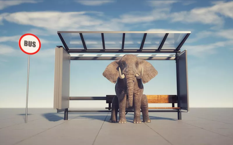 Elephant sitting in a bus station. This is a 3d render illustration. Computer composites, illustrations or CGI of animals in unnatural situations are acceptable.