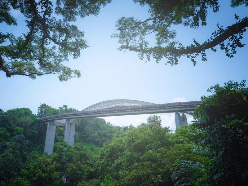 Henderson Waves Bridge