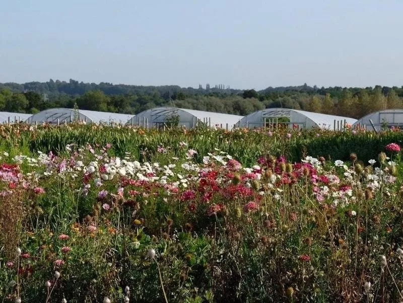 Historic English mansion eco resort organic garden