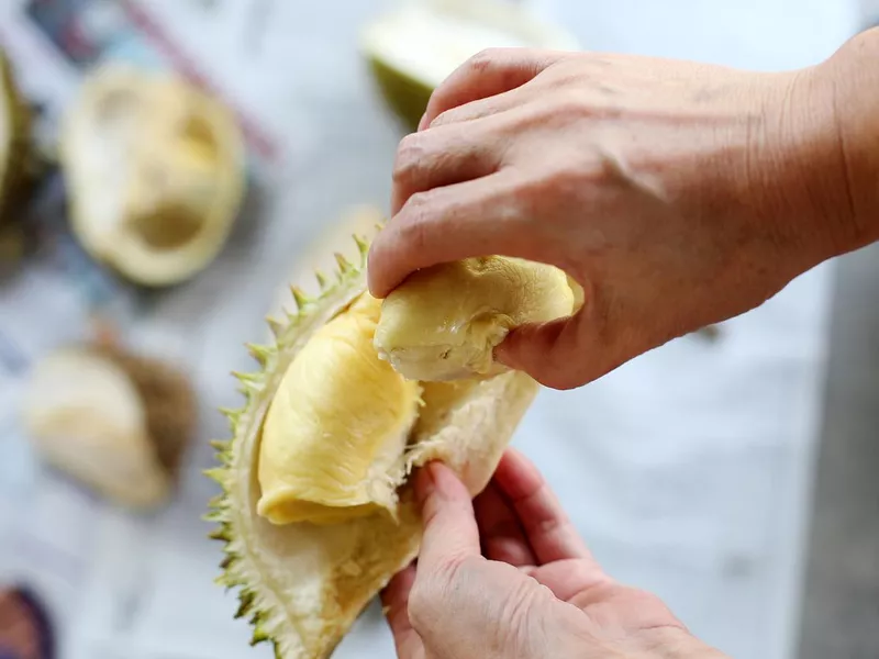 Durian fruit