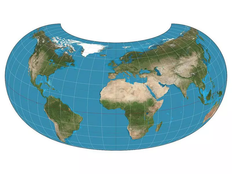 Armadillo Projection