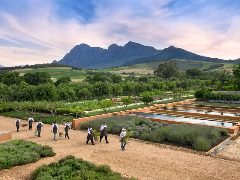 Babylonstoren Hotel gardens