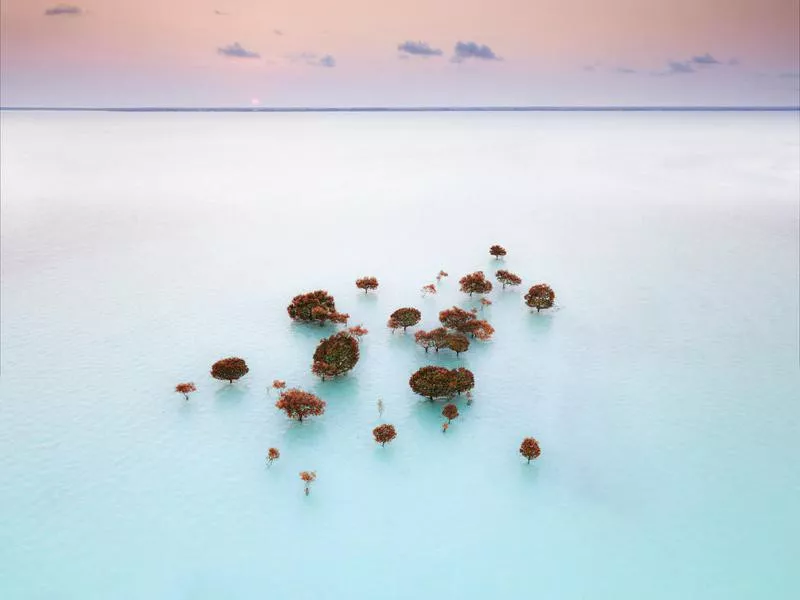 High tide in Zanzibar