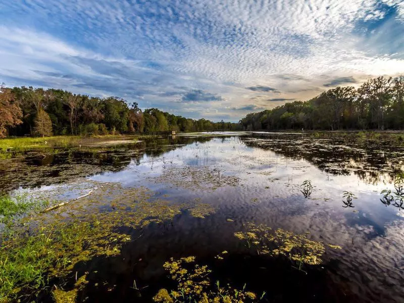 Creekfield Lake, Texas