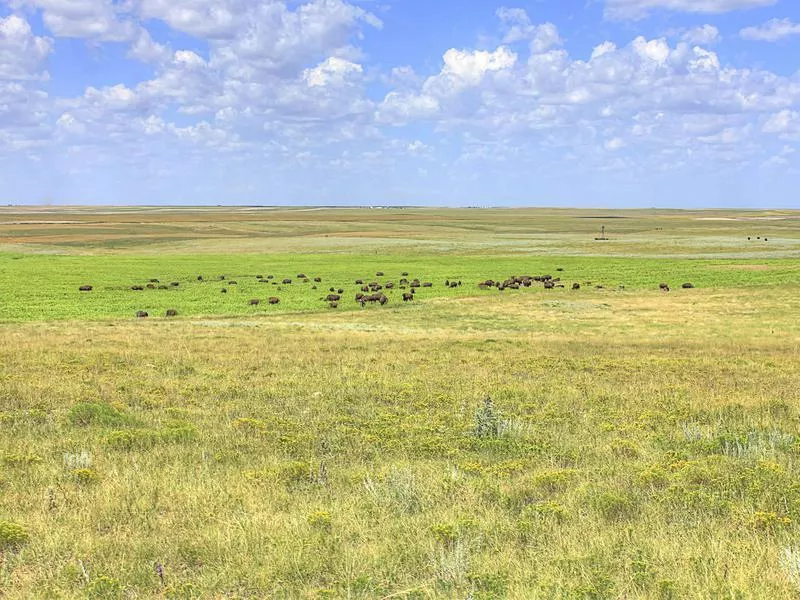 Nebraska