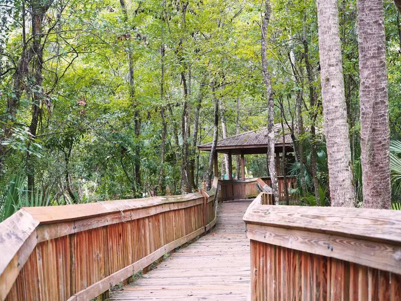 Blue Spring State Park boardwalk