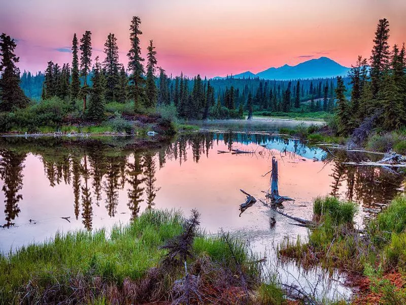 Wrangell-St. Elias