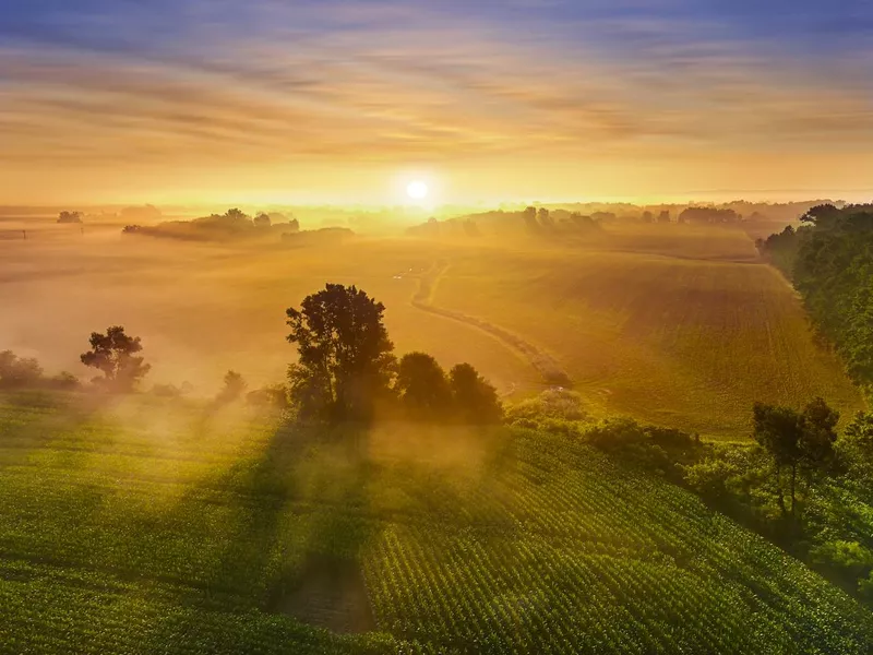 Sunrise over misty fields of corn in Wisconsin