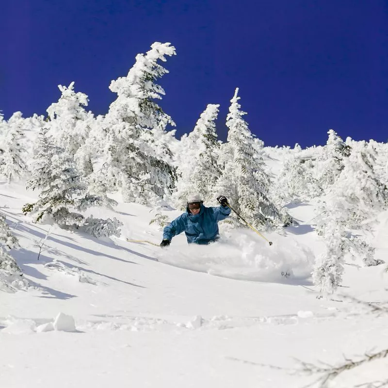 Expert skier skiing powder, Stowe, Vermont