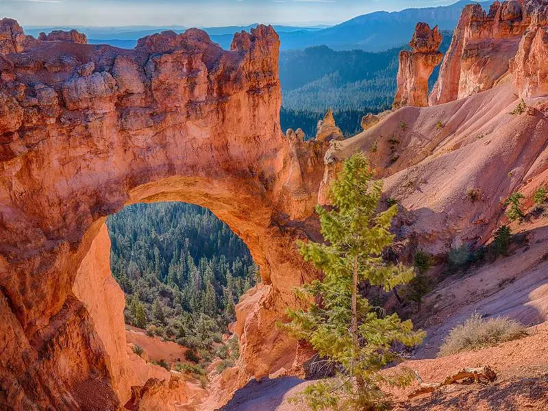 Natural rock arch at Bryce Canyon