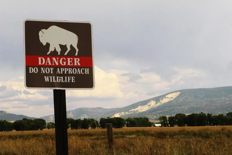 Yellowstone National Park