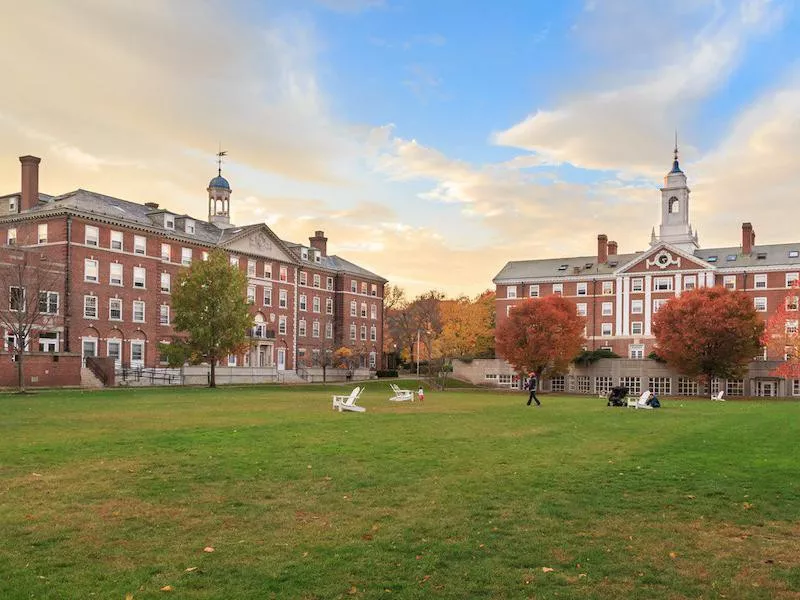 Harvard University