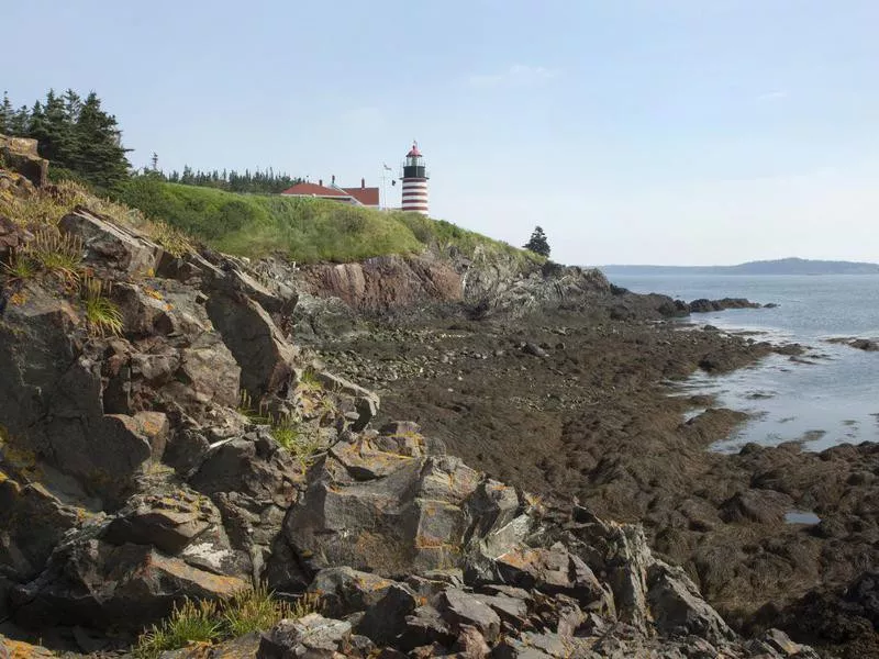 Quoddy Head State Park