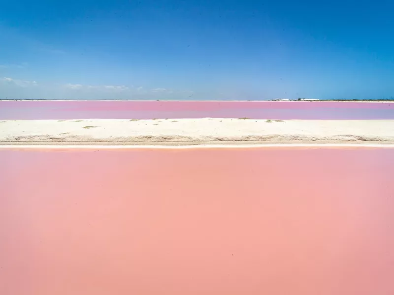 The natural salty pink lake of Las Coloradas, Yucatan, Mexico