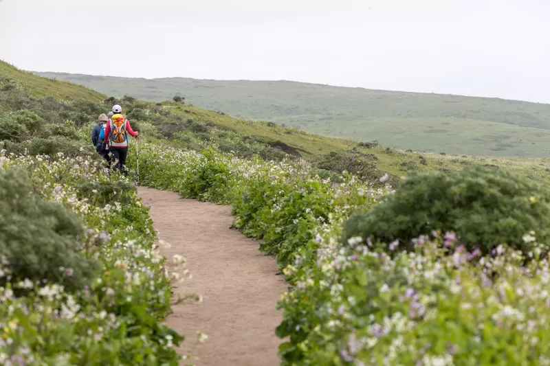 Tomales Point of Point Reyes National Seashore