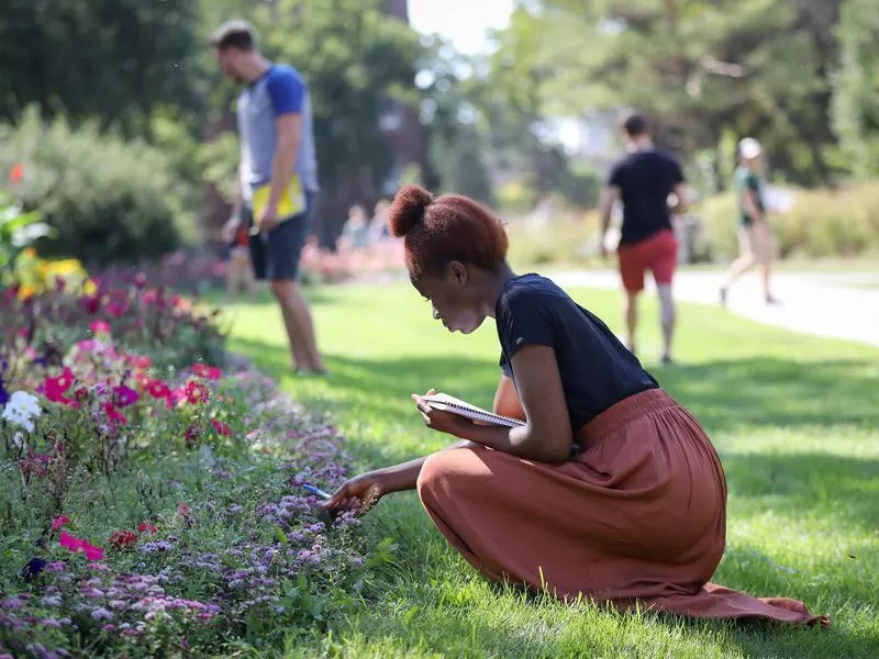 Students at University of North Dakota