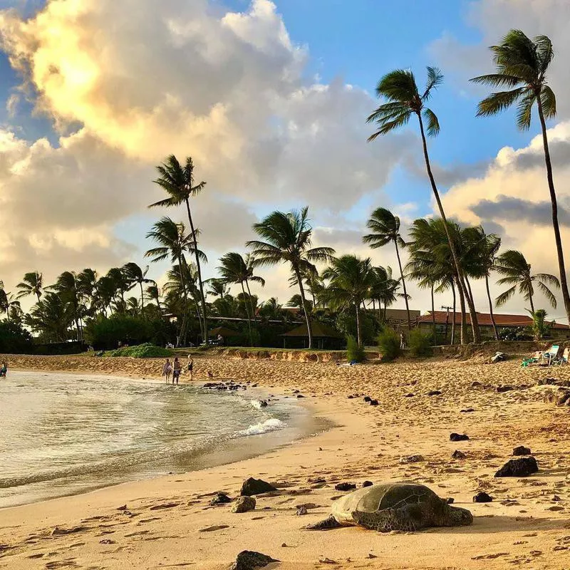 Poipu Beach Park