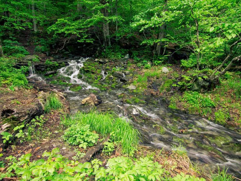 Smuggler’s Notch State Park Campground Vermont