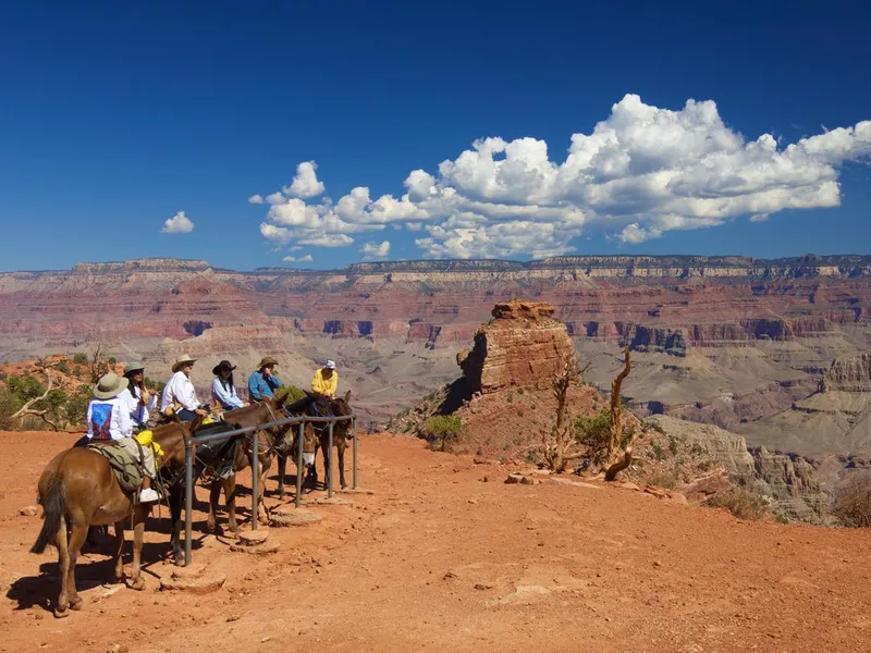 Grand Canyon horseback riding