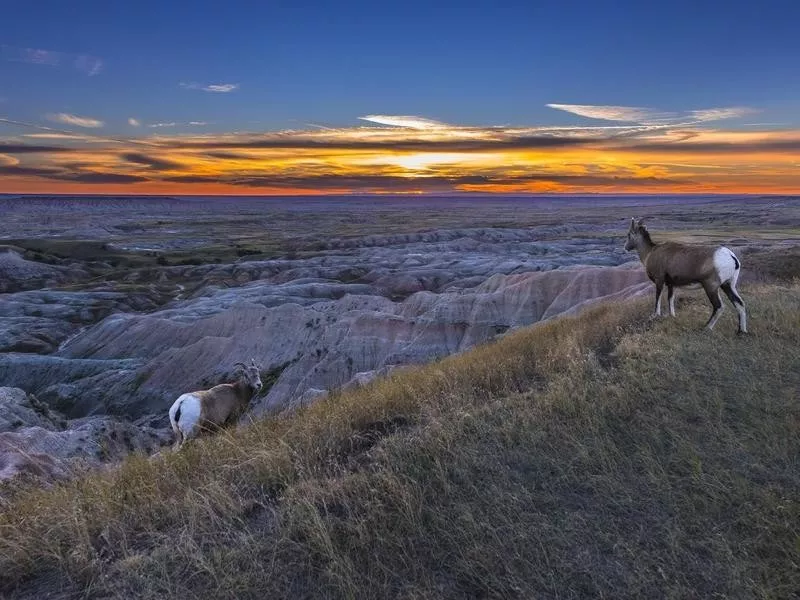 North Dakota