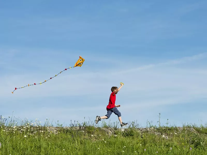 Boy flying his kite