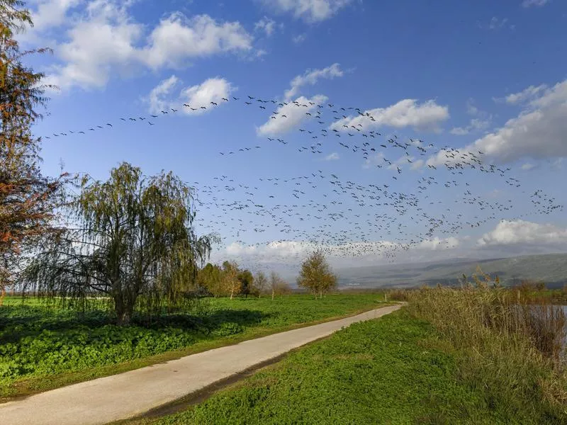 Hula Valley