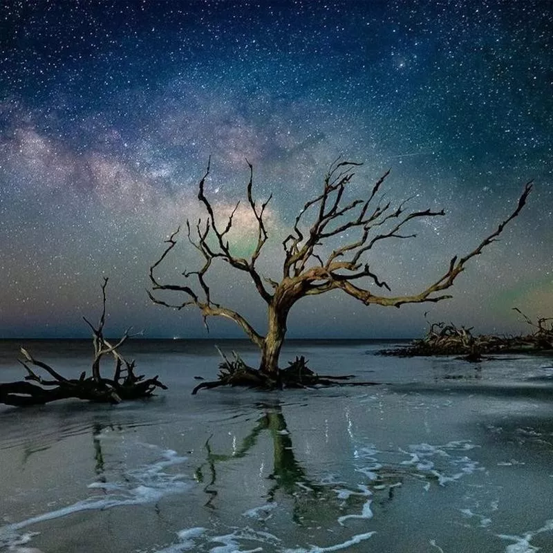 Driftwood Beach