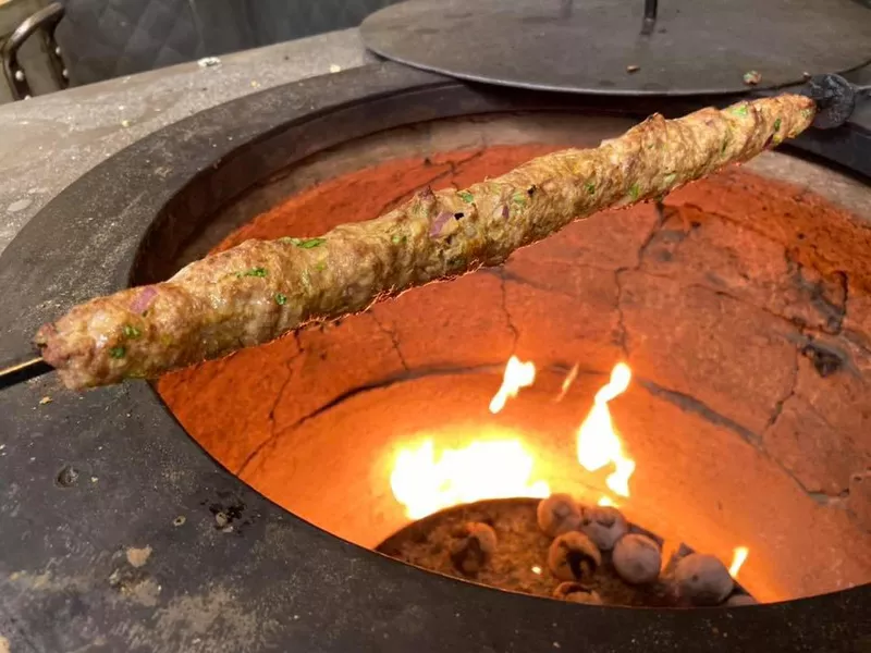 Tandoor kebab from Himalayan Bistro Indian Restaurant