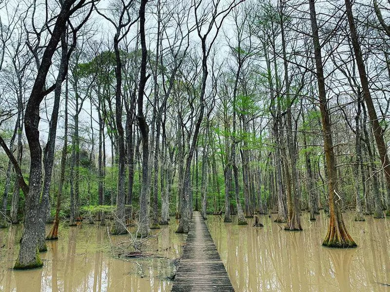 Chicot State Park