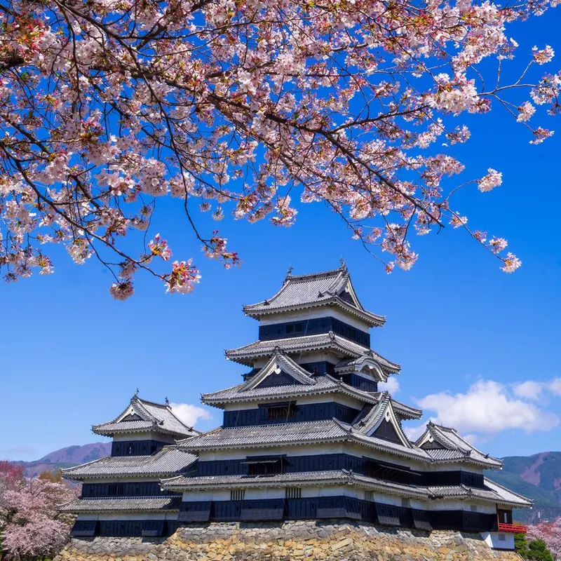 Matsumoto castle in spring season, Nagano, Japan