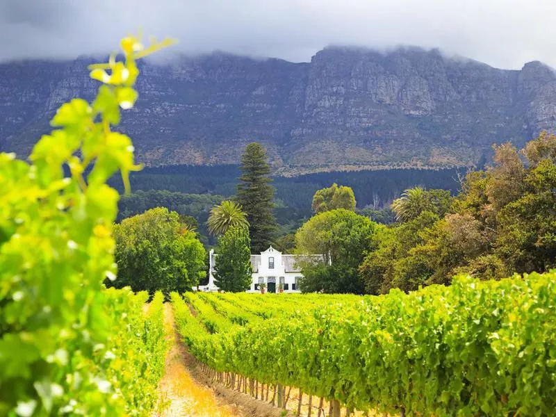 Cape Dutch Manor House in South Africa