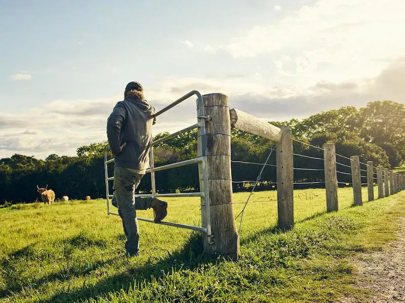 Gate in a farm