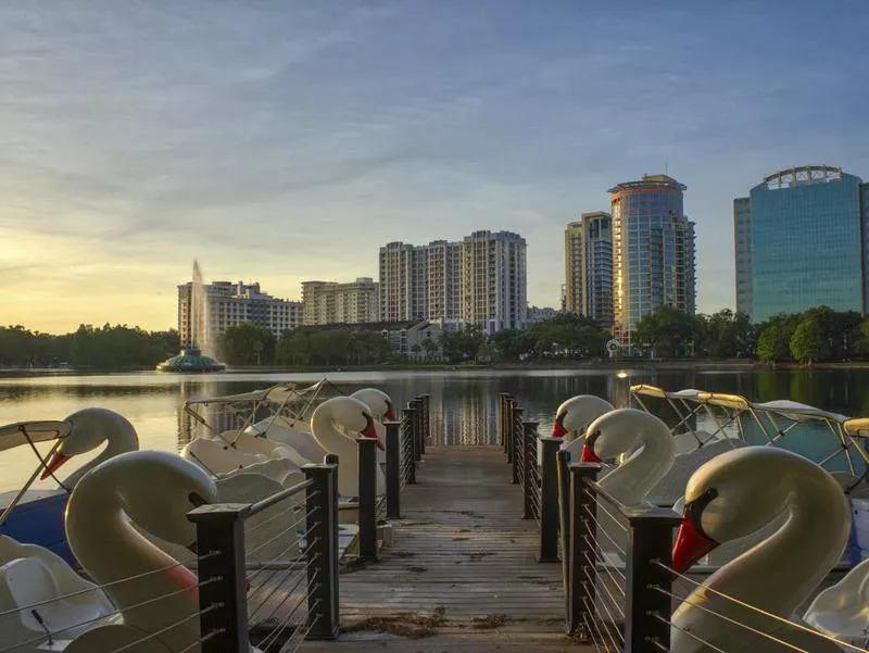 Lake at Downtown Orlando