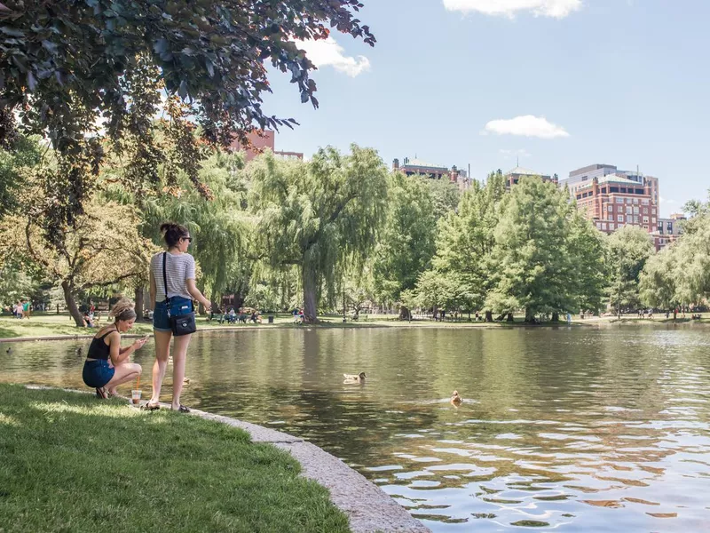 Boston Commons in summer