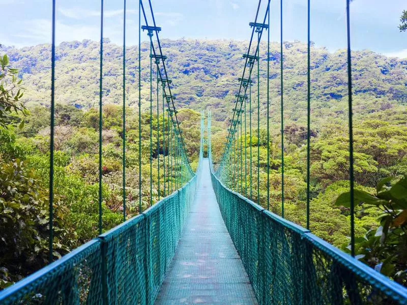 Costa Rica rainforest