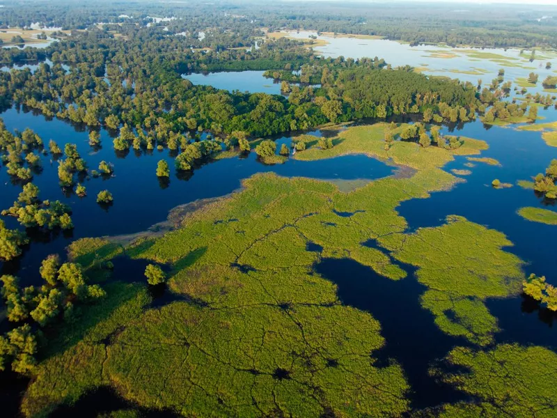 Kopacki rit Nature Park Croatia