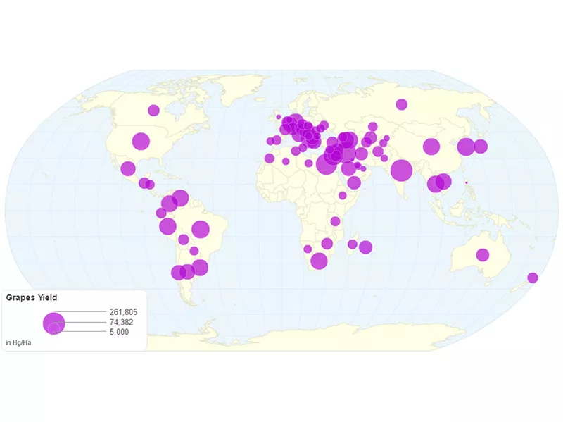 Grapes Yield