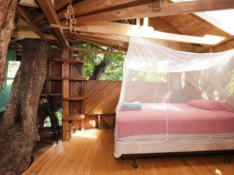 treehouse home