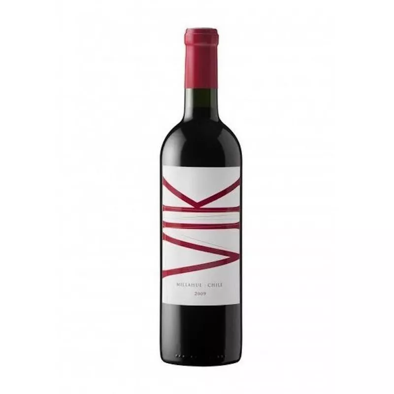 Vina Vik wine