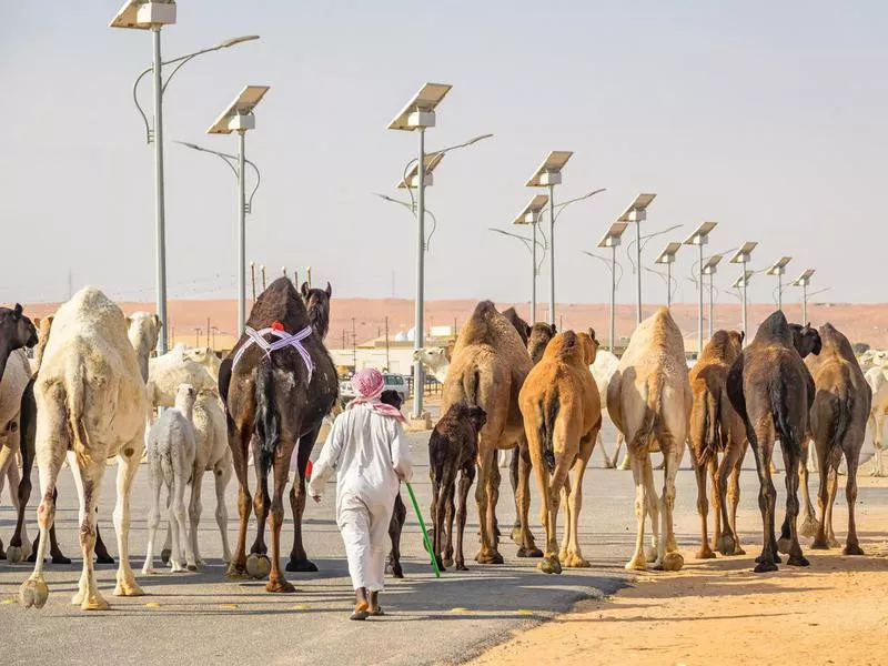 saudi