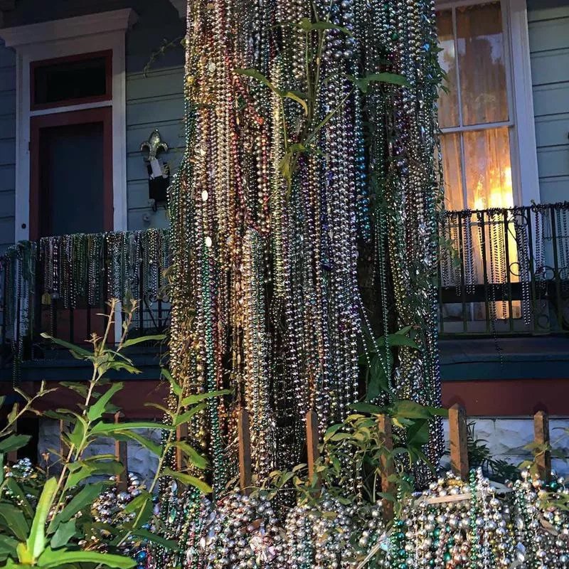 mardi gras