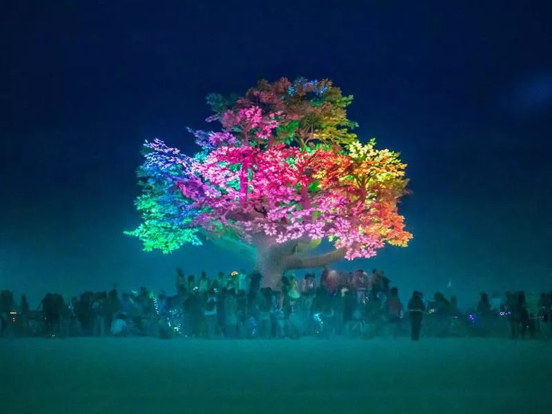 Art installation in Burning Man