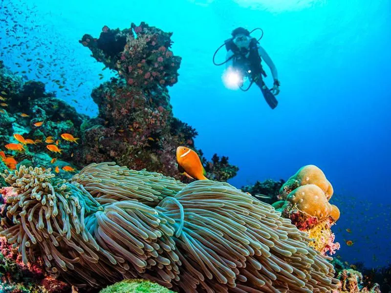 Baa Atoll coral reefs