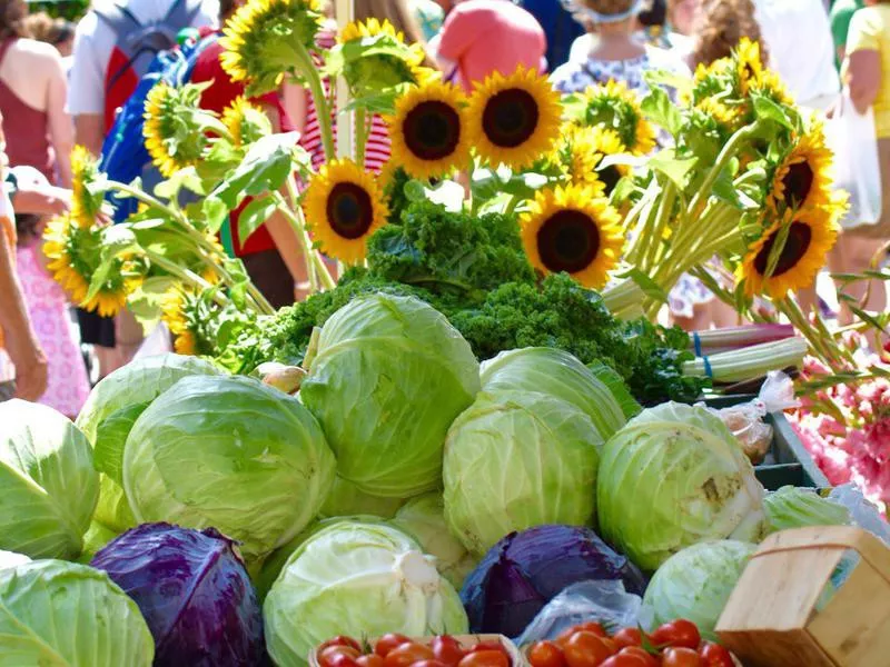 Dane County Farmers Market