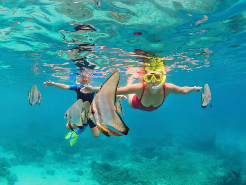 Snorkeling in Australia