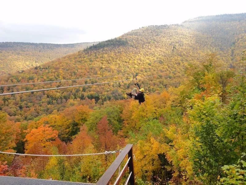 New York Zipline