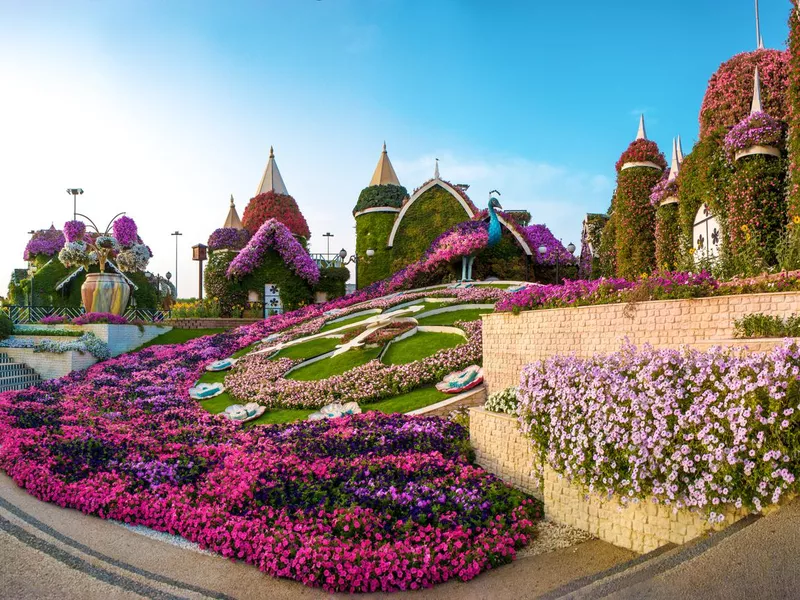 Dubai, Miracle Garden - The Village of Flowers