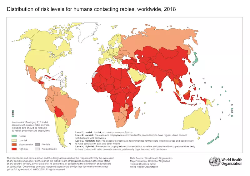 Rabies