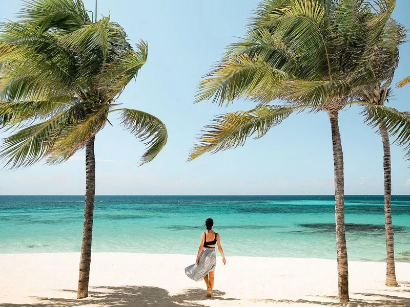 Palm trees and beach in Anguilla