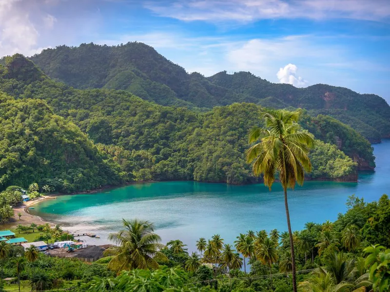 Sea and palm trees in Saint Vincent